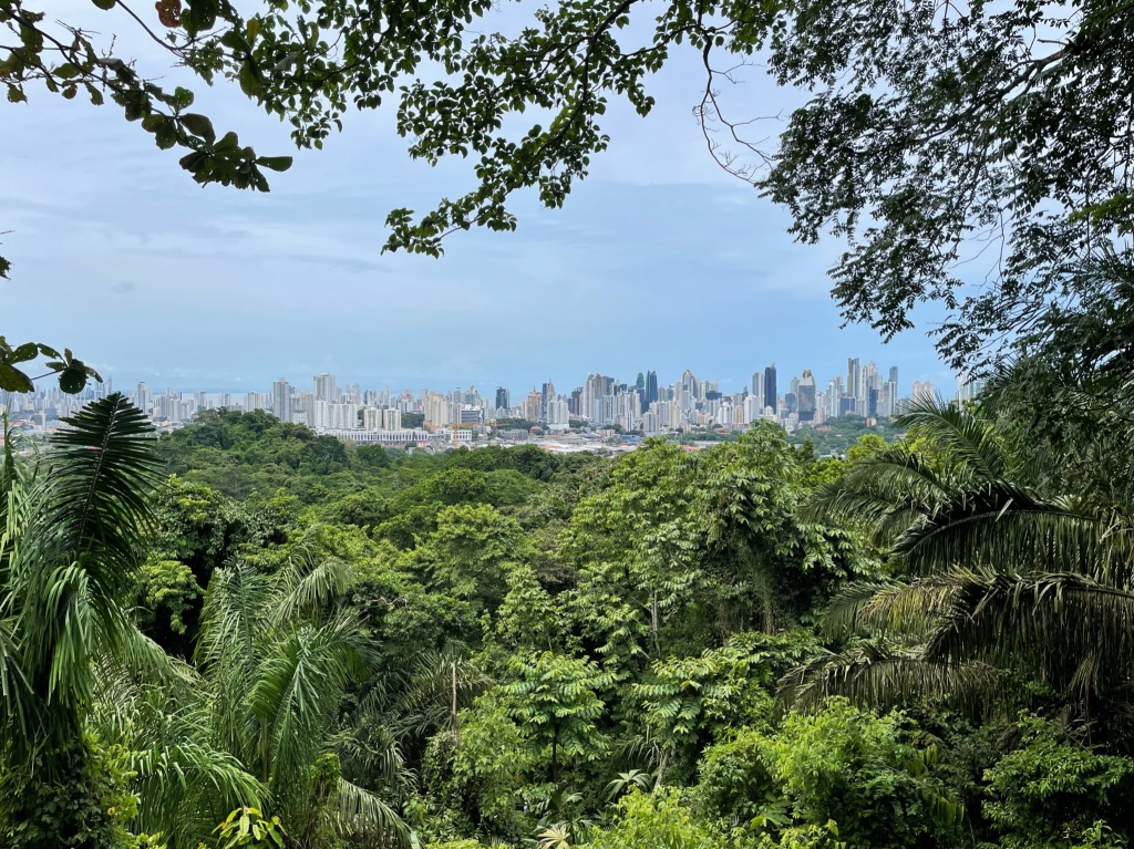 Wildlife in Panama City, exploring the Metropolitan Natural Park